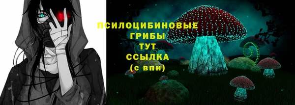 гашик Алексеевка