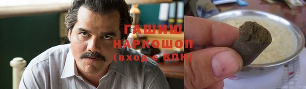 гашик Алексеевка