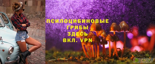 спиды Алзамай