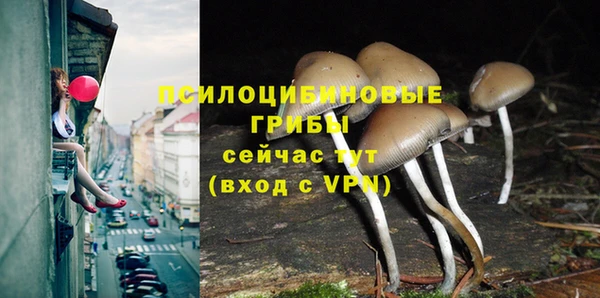 mdpv Алексин