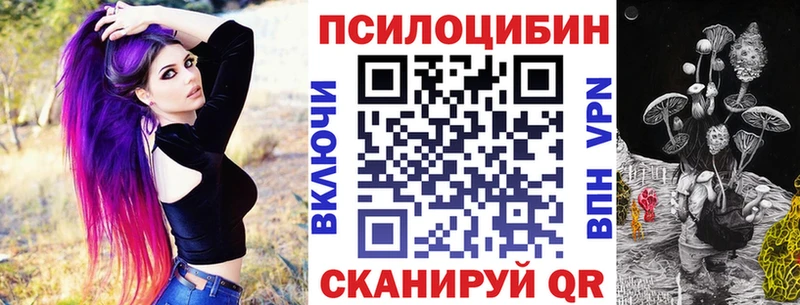 блэк спрут сайт  Кашира  Псилоцибиновые грибы Psilocybe 