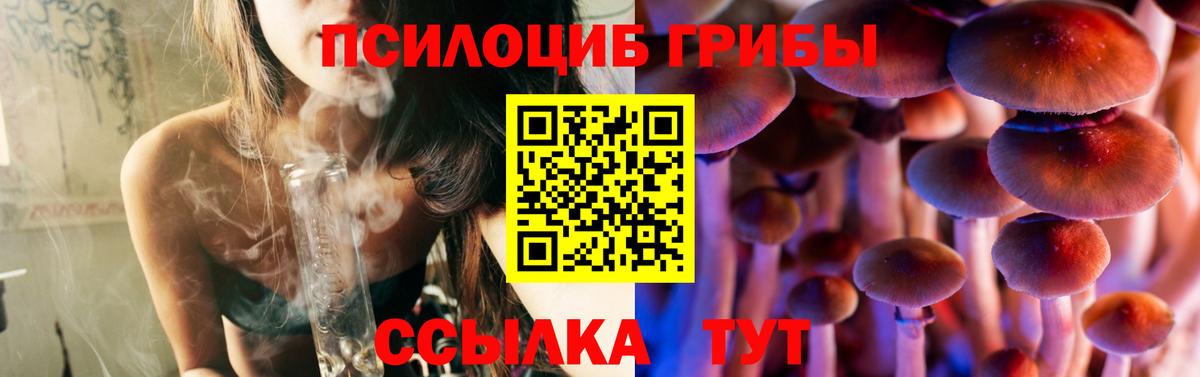 Галлюциногенные грибы прущие грибы Кашира